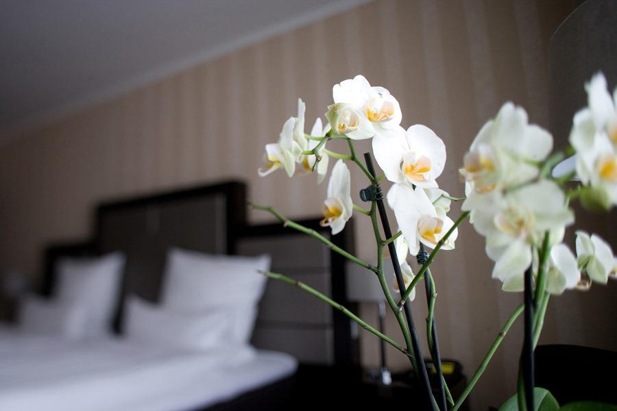 Top Hotel Kraemer Koblenz  Rom bilde
